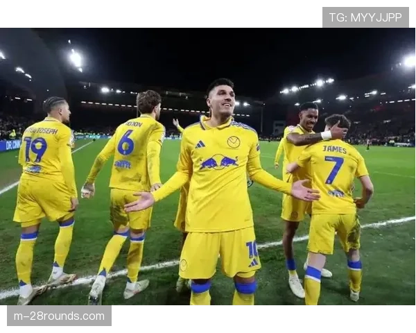 维拉1-1利兹联距榜首7分,近4轮仅1胜争冠希望渺茫 维拉1-1利兹联距榜首7分,近4轮仅1胜争冠希望渺茫